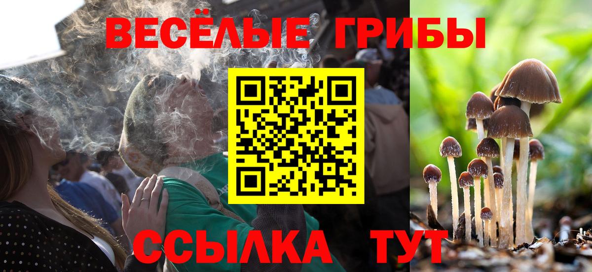 Галлюциногенные грибы Psilocybe Геленджик